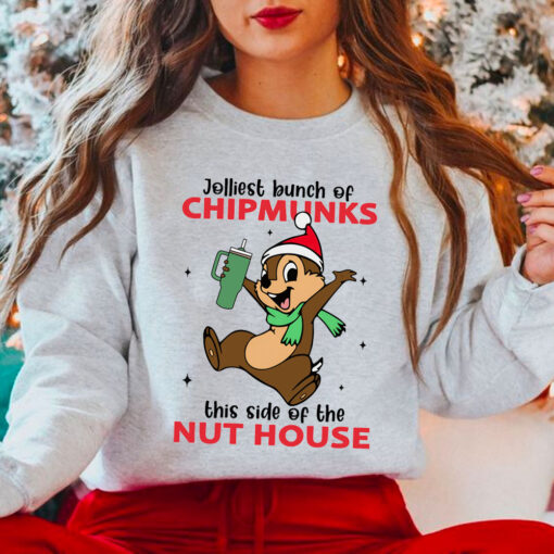 Chip and Dale Cartoon Christmas Sweatshirt, Dale Shirt