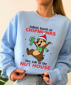 Chip and Dale Cartoon Christmas Sweatshirt, Dale Shirt