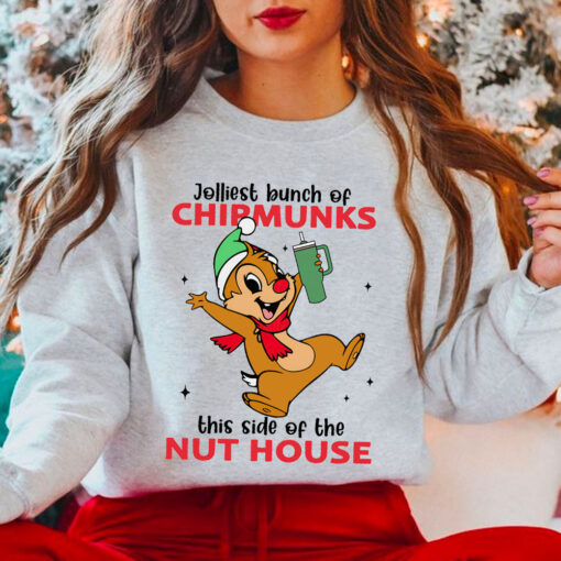 Chip and Dale Cartoon Christmas Sweatshirt, Chip Shirt