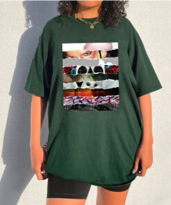 Deftones Albums T-Shirt Sweatshirt Hoodie, Rock Fan Gifts